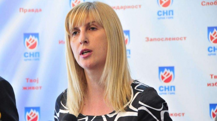 Jonica: Izmjenom Odluke ispuniće se međunarodne obaveze