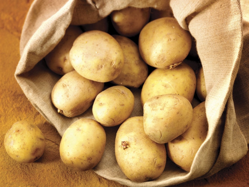 U Bijelom Polju rodio krompir težak 2,3 kg