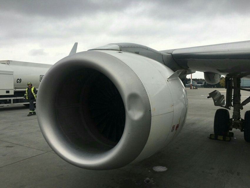 Avion Montenegro airlines-a ostao u Varšavi zbog ptice