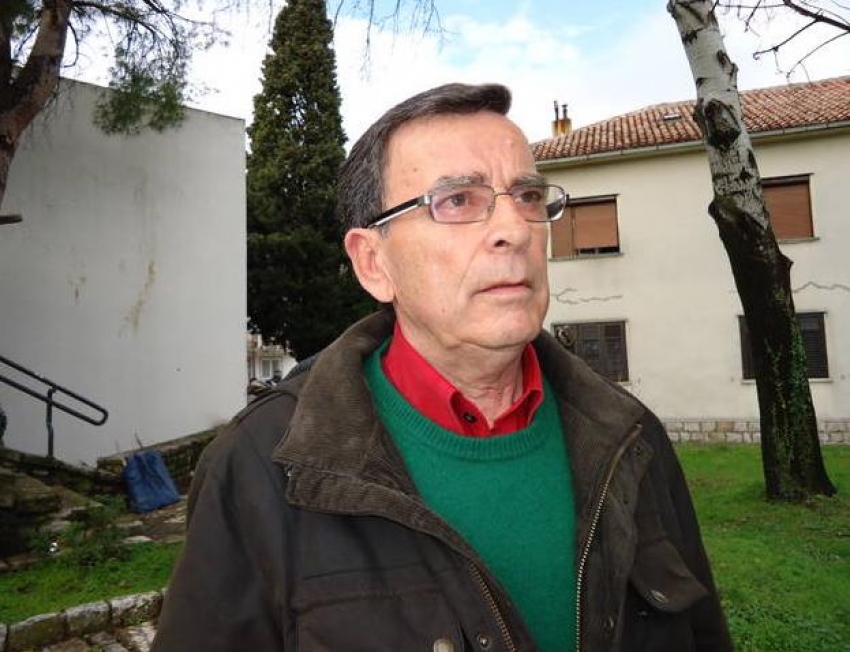 Najveća berba maslina u Boki za posljednjih 15 godina