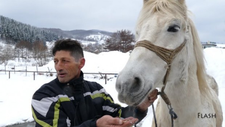 Hit na društvenim mrežama: Konj iz Travnika najviše voli da jede ćevape