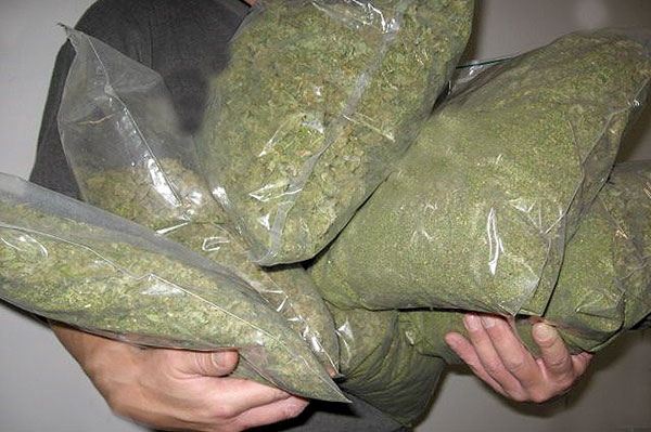 Beograđanin na granici sa Crnom Gorom uhapšen sa 15 kilograma marihuane