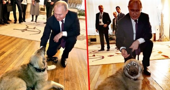 Ovo su najpopularnija imena za pse u svijetu