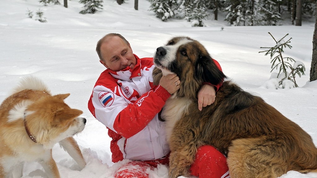 SVI PUTINOVI LJUBIMCI! Koni je, ipak, NAJVIŠE VOLIO!