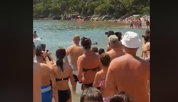 VIDEO: Kupače na Jazu uznemirila riba, mislili da je ajkula