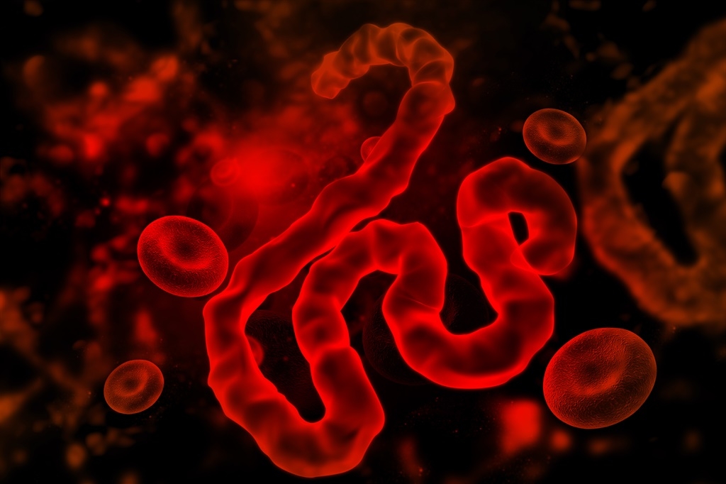 Ebola bi mogla da postane izliječiva bolest