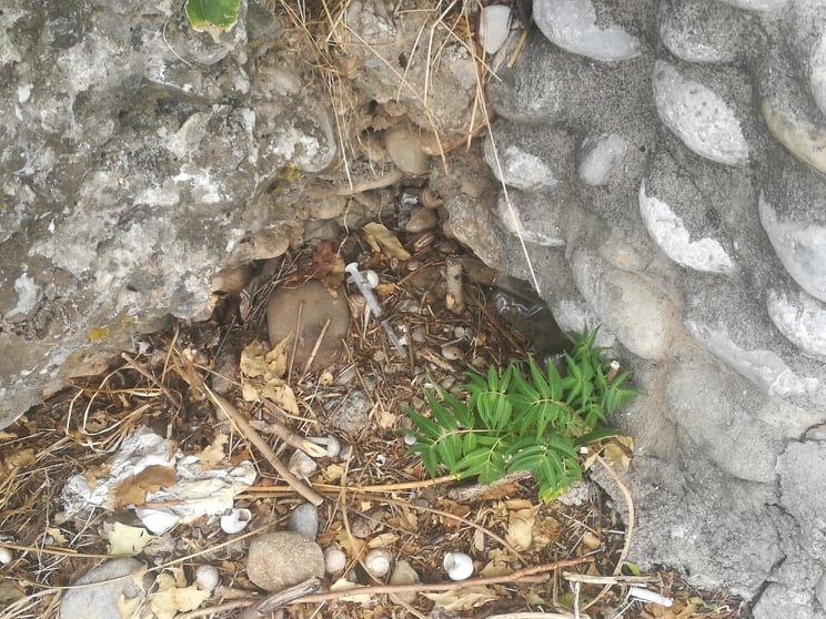 Koriste heroin i kokain a špriceve bacaju na sve strane: &#8220;Strah me da pustim djecu da se sama igraju od tolikih igli&#8221;
