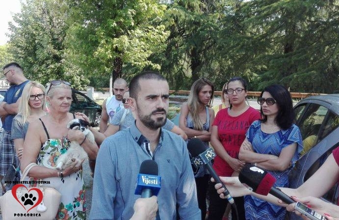 Borbe pasa se organizuju slobodno, tužilaštvo na potezu