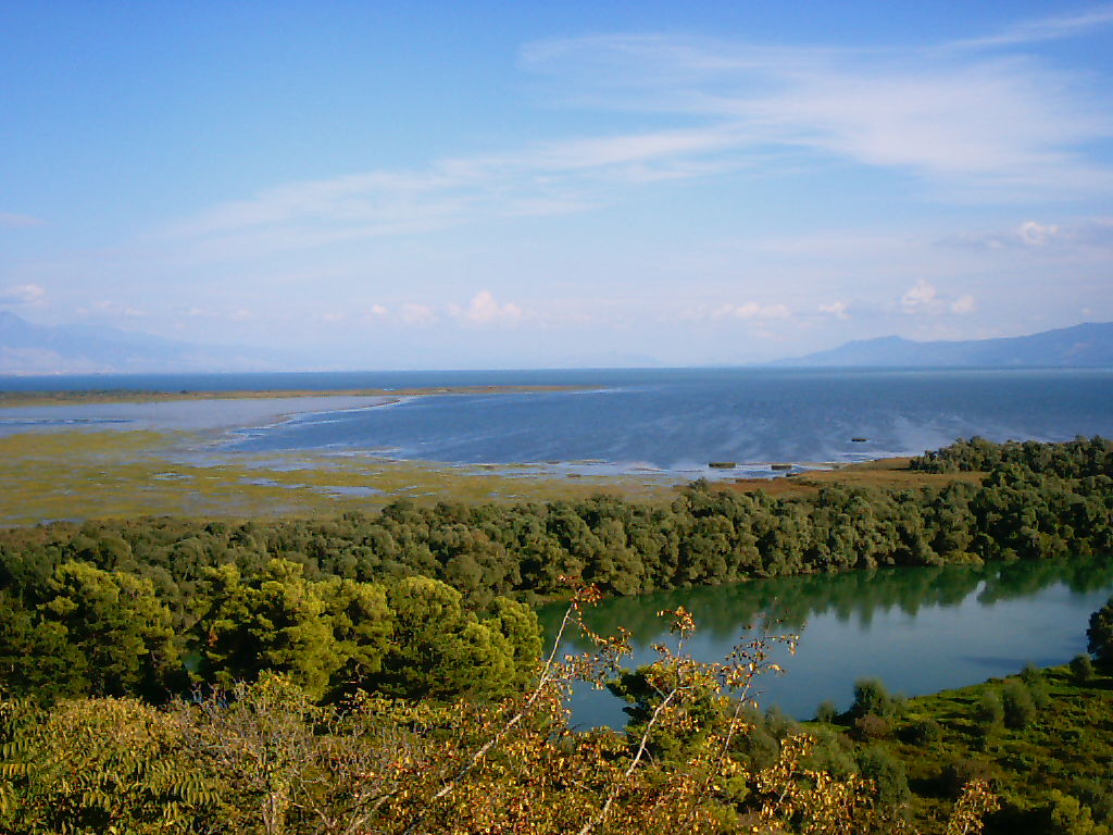 Zasijedanje o slučaju Porto Skadar Lake dovelo do preispitivanja činjenica i na rijeci Tari