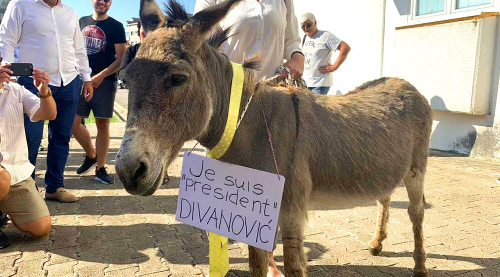NVO Kuća životinja: Osuđujemo zloupotrebu magarca u političke svrhe