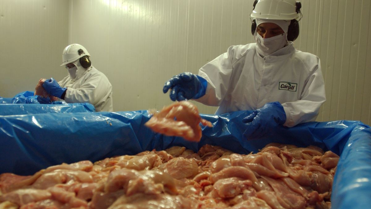 Salmonela: Zabranjen uvoz 47 tona piletine