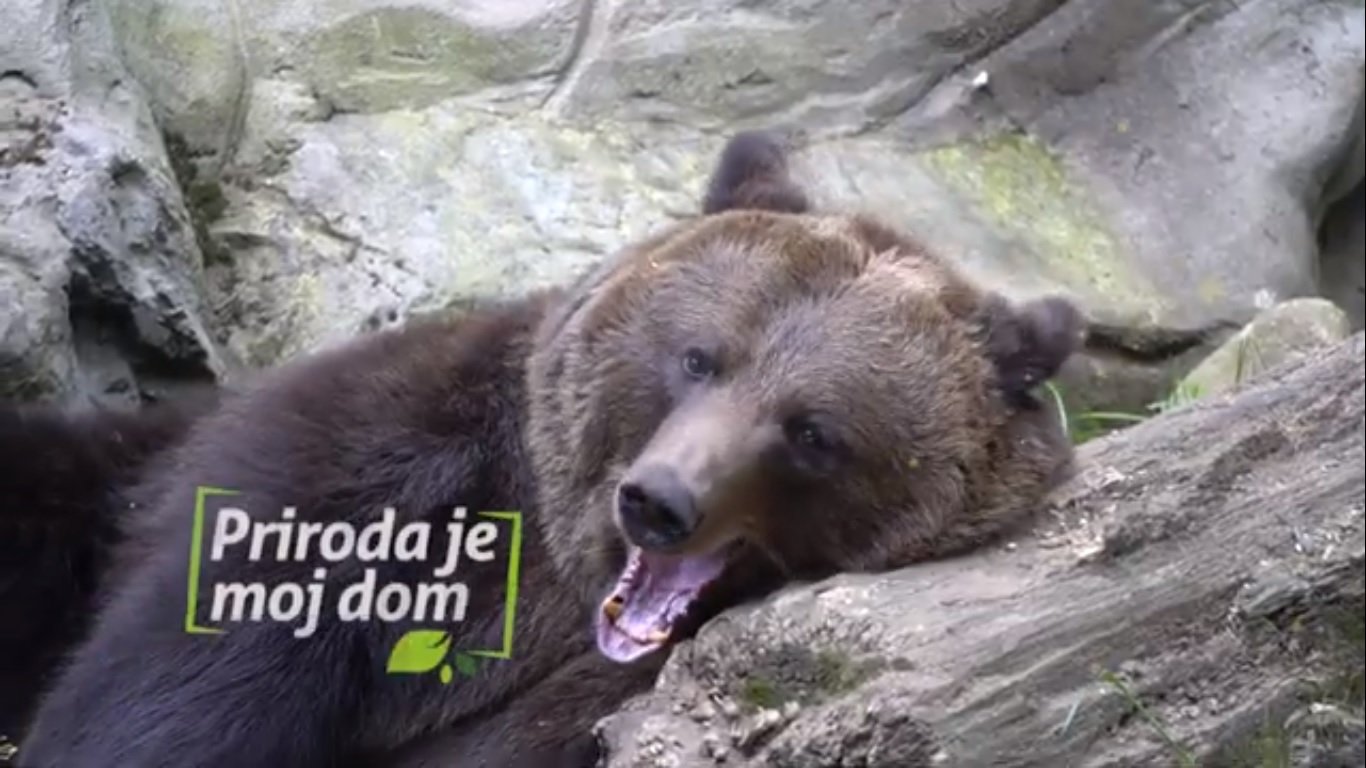 Nacionalni parkovi CG predstavili promotivni spot „Priroda je moj dom“: Divan je i siguran dom PRIRODA!