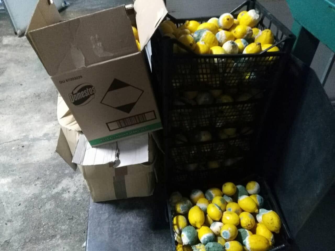 Sa granice vraćeno 23.000 kilograma limuna i 170 kilograma jagoda