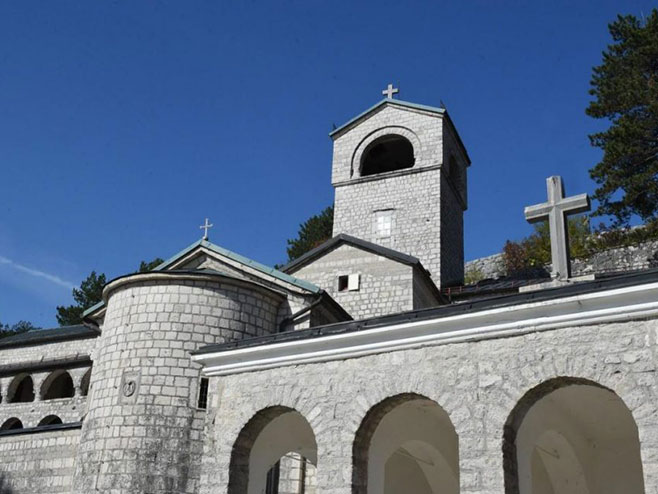 MCP: Nikakvih okupljanja u našoj organizaciji nema i neće biti