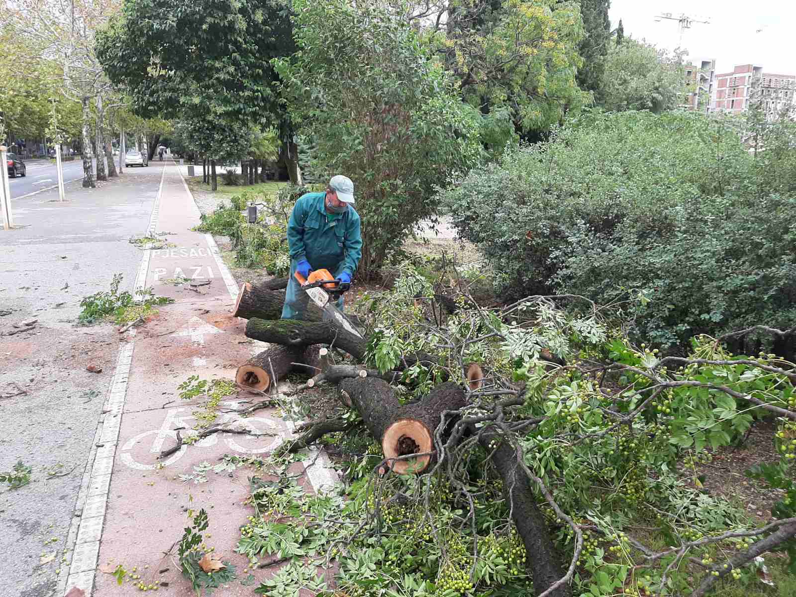 Ekipe Zelenila saniraju štete nastale usljed nevremena
