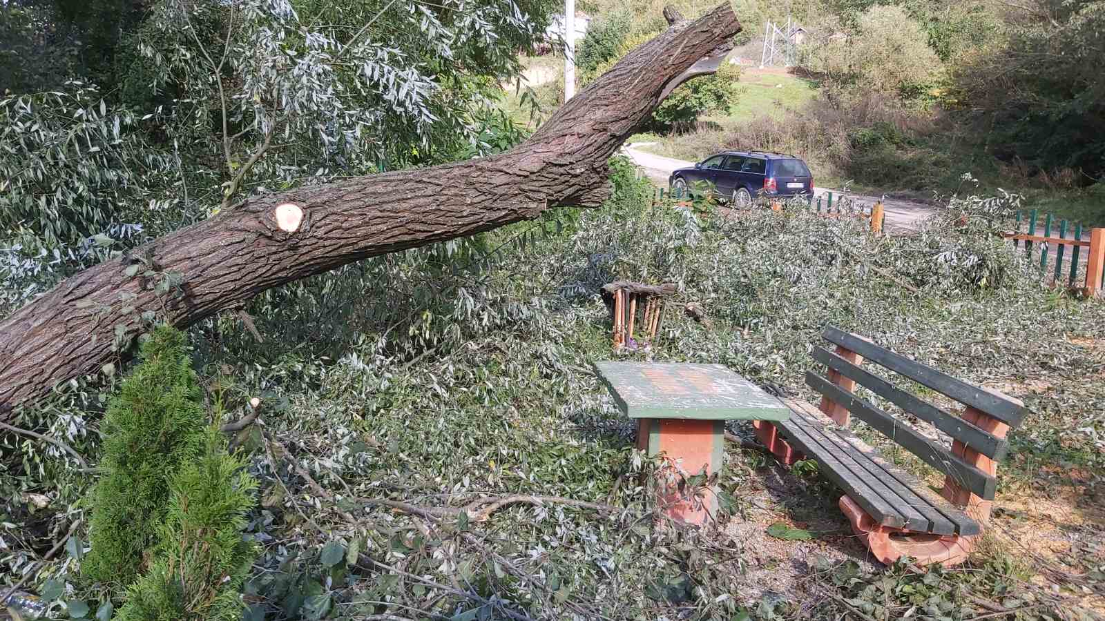 Euromost: Isjekli stabla, uništili park prirode i pobjegli u drugu državu