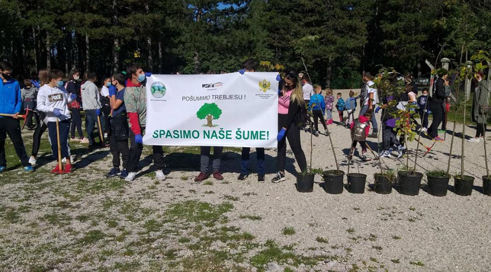 Trebjesa bogatija za više od 1.000 sadnica