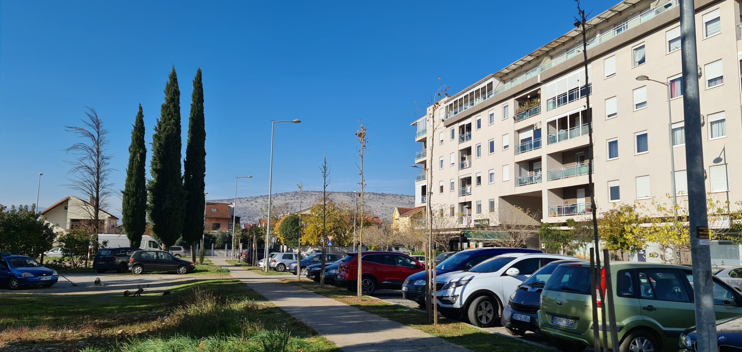 Gradsko Zelenilo zasadilo platane i u Bloku IX
