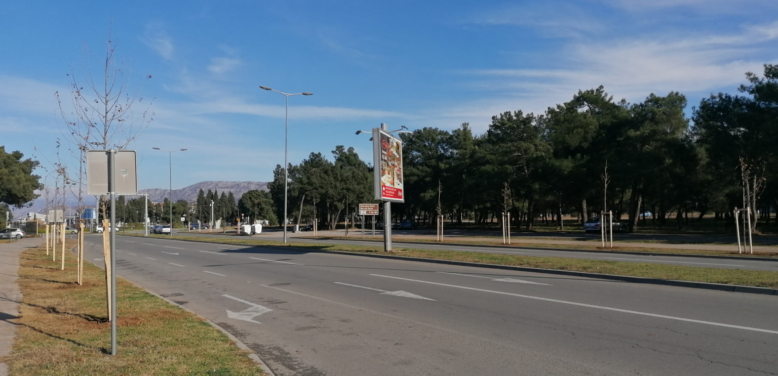 Novi drvored na Bulevaru Šarla de Gola