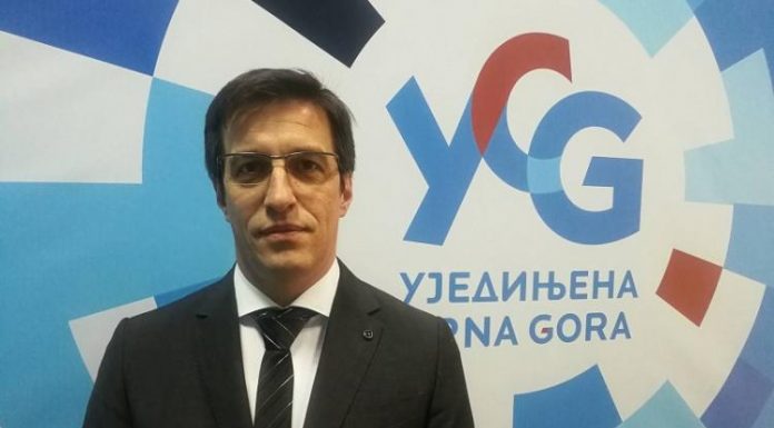 Vladimir Dobričanin