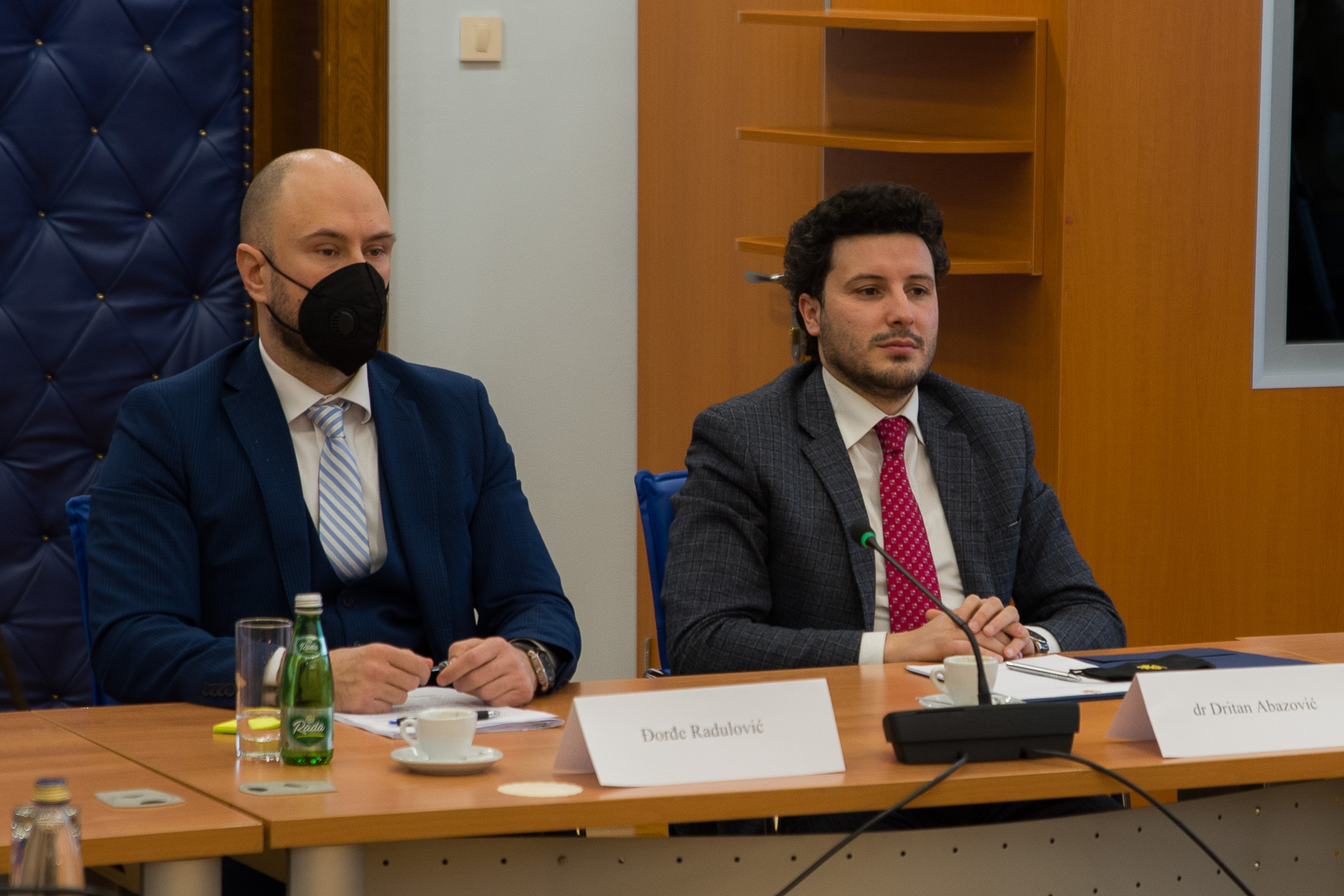 Odbor podržao predloge za opoziv ambasadora –  Radulović: Ako smo se o nekog ogriješili, neka traži pravne ljekove