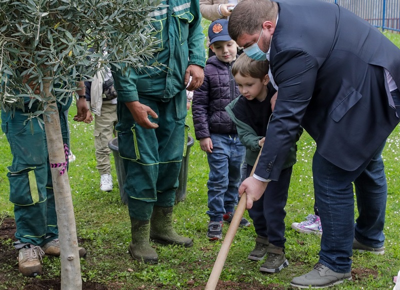 Dan planete u Budvi obilježen sadnjom hrasta, masline i žive ograde