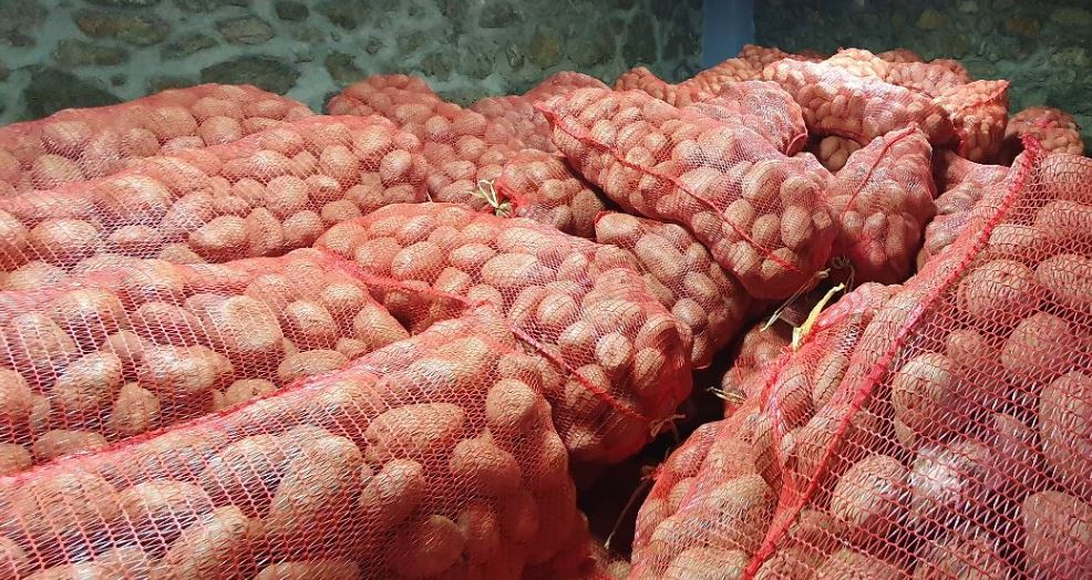 Ministarstvo podržava skladištenje i povlačenje viškova mladog krompira i lubenice