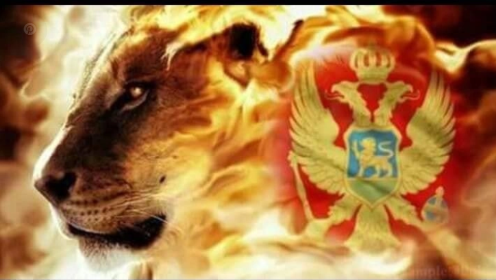 Dok NVO sektor zatvara oči, MI neće odustati niti od pravde, niti od Crne Gore!