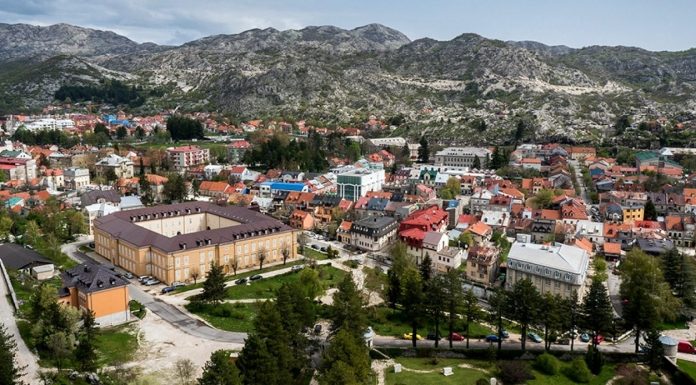 Ništa od proizvodnje industrijske konoplje na Cetinju