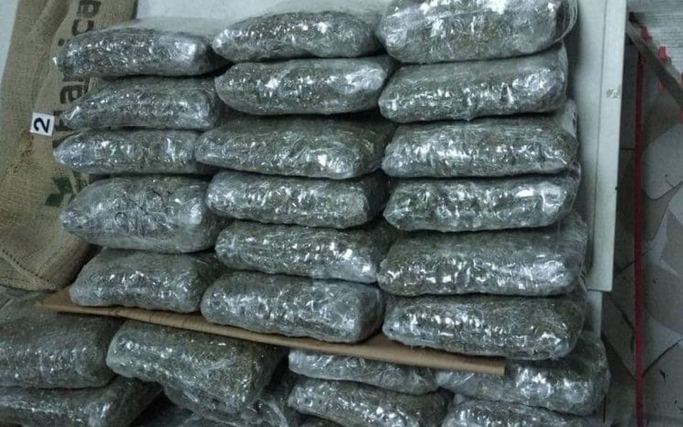 Spriječeno krijumčarenje 53 kg skanka iz Albanije, uhapšen Albanac