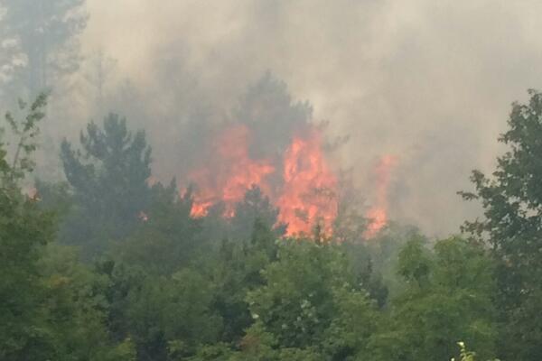 Požar u selu Nudo kod Nikšića, ugroženo desetak kuća