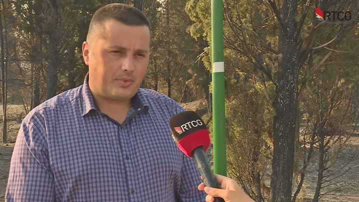 Janković: Piromane identifikovati i imena javno saopštiti