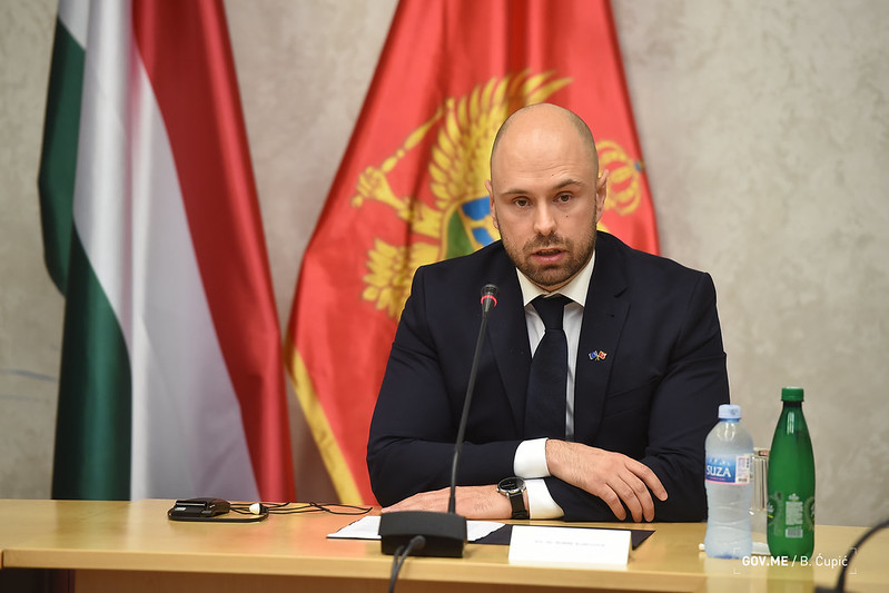 Radulović najavio da će MVP tražiti informacije od Srbije o razlozima zadržavanja Vuksanović Stanković