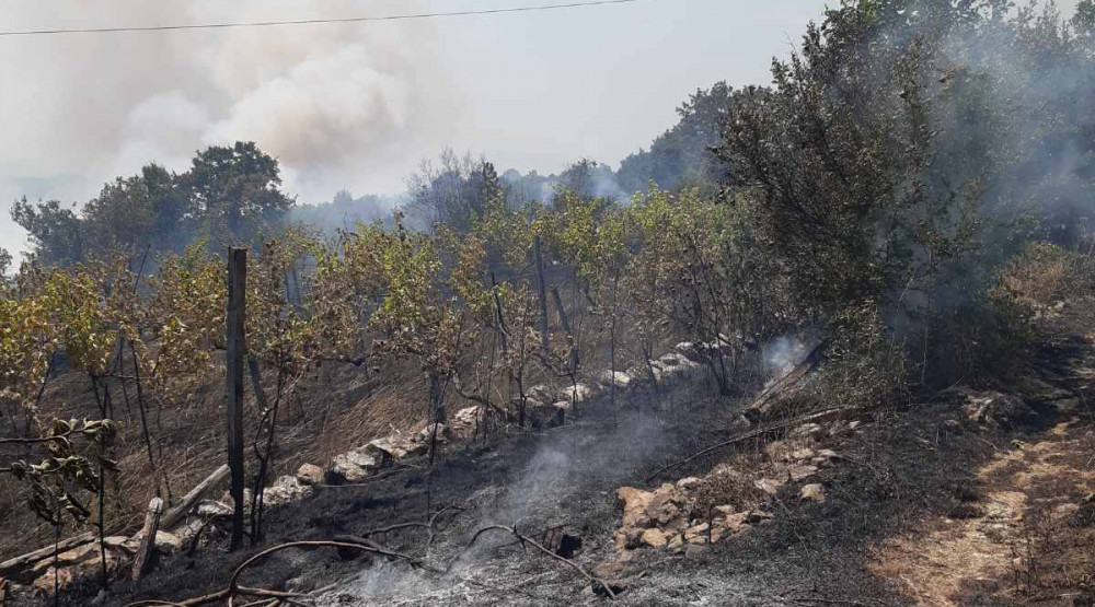 Veliki požar u Piperima, ekipe na terenu, vjetar otežava gašenje