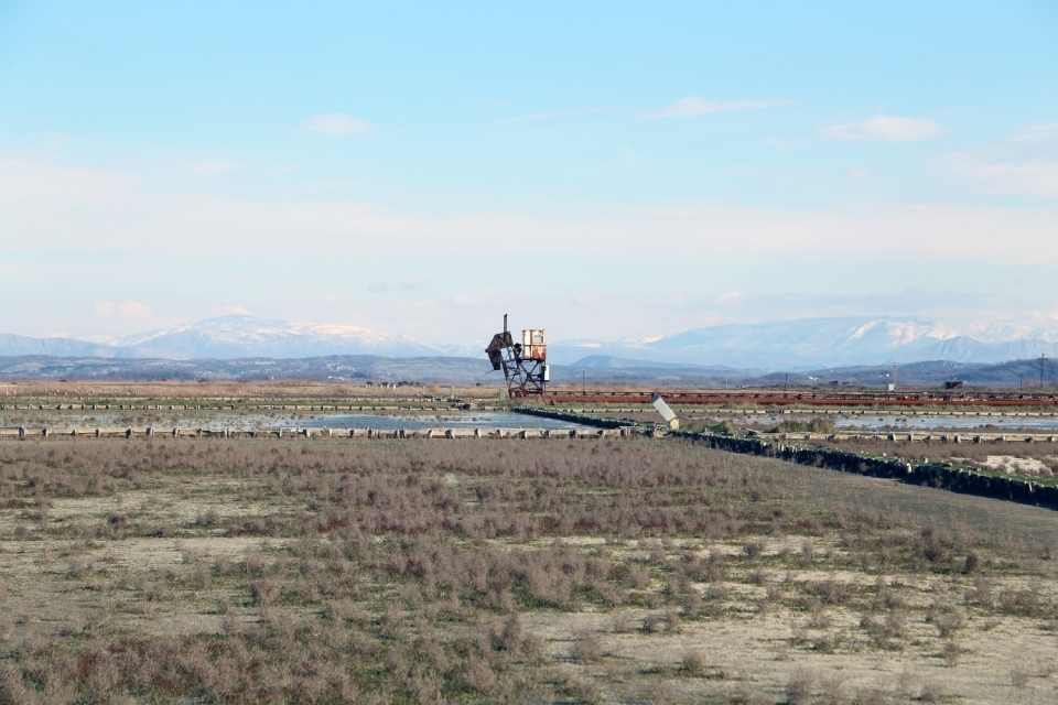 FORCA: Solana bi trebala biti vlasništvo Opštine Ulcinj, a ne Vlade!