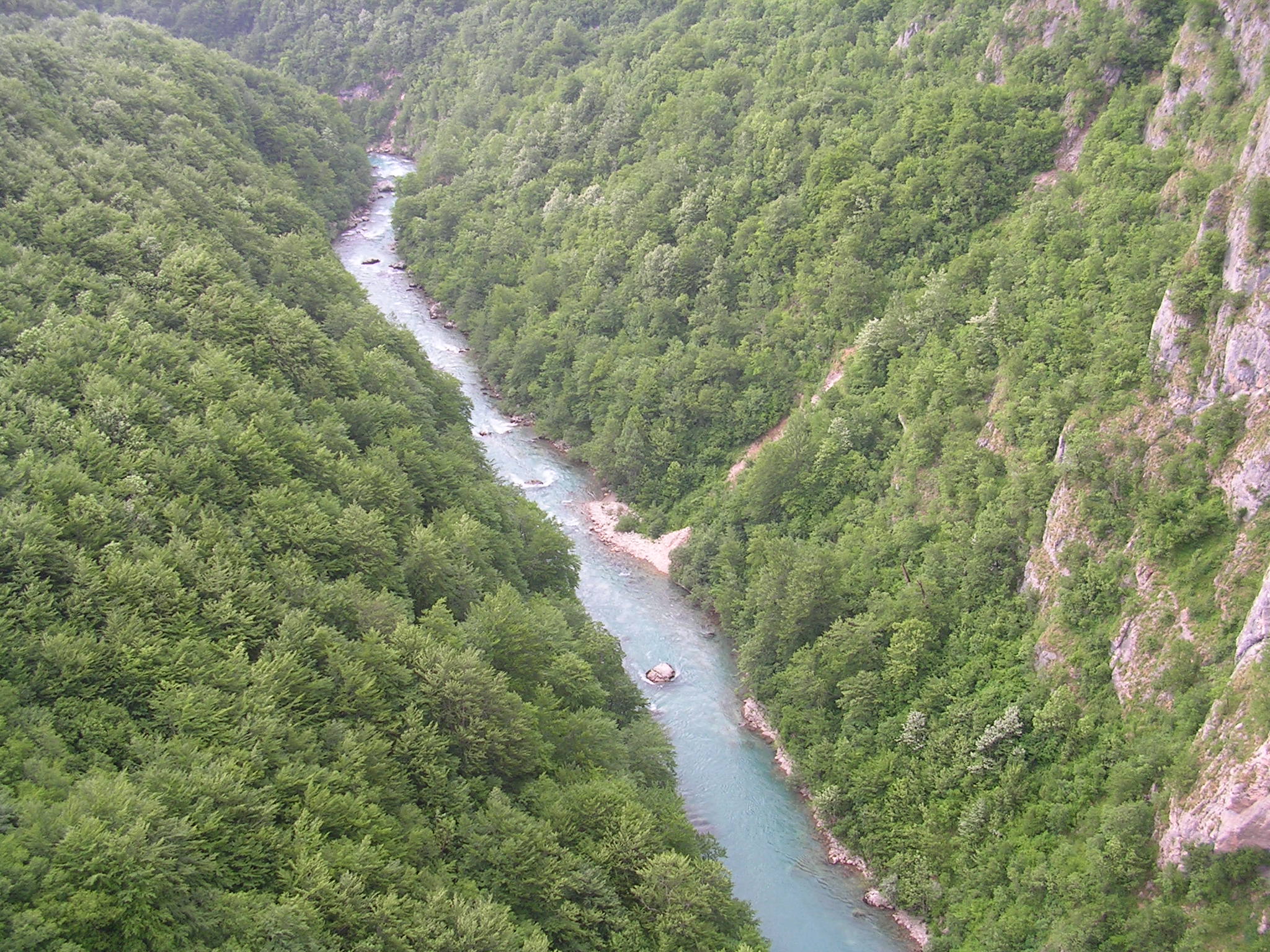 Crna Gora i BiH gradiće most na Tari
