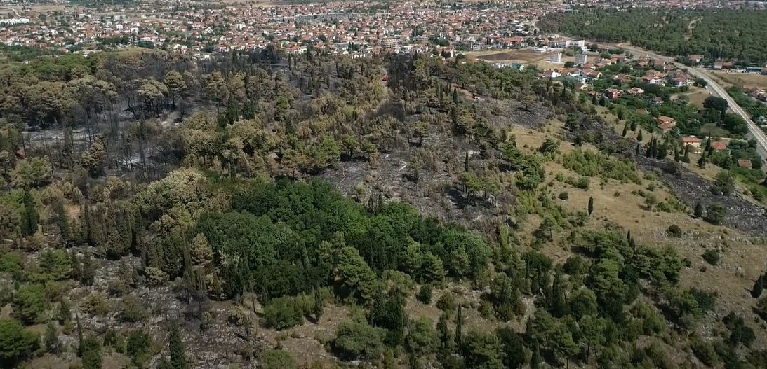 Požari u Crnoj Gori nijesu elementarna nepogoda