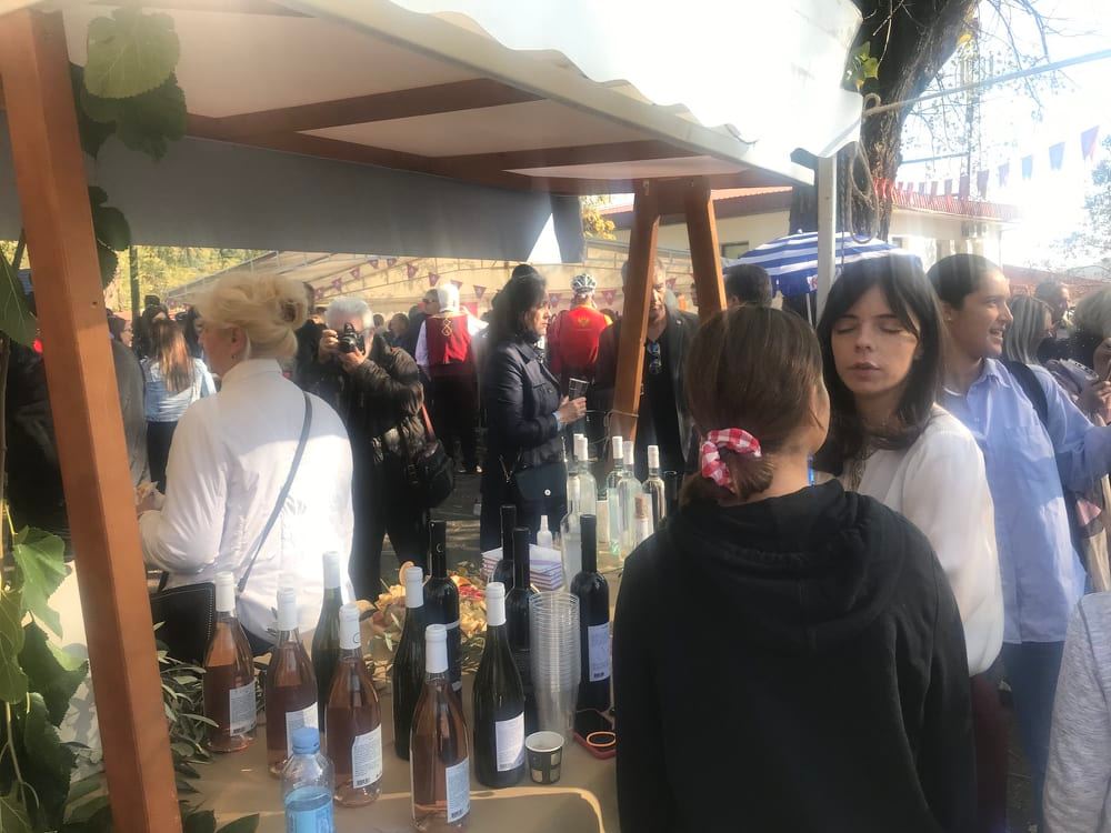 (FOTO/VIDEO) Počeli Dani divljeg šipka u Zagarču, Ćupić: Manifestacija organizovana radi motivacije seljana za povratak u svoja ognjišta