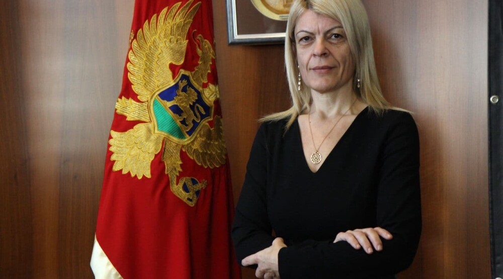Damjanović: Sadašnja vlast unizila i pogazila projekat SEEIIST, potrebno da vratimo šansu intelektualnom jezgru