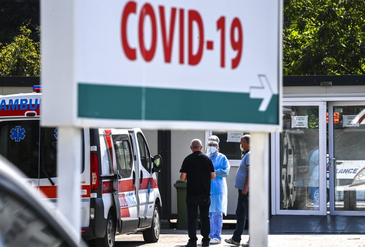 Prvi slučaj flurone otkriven u Sjevernoj Makedoniji