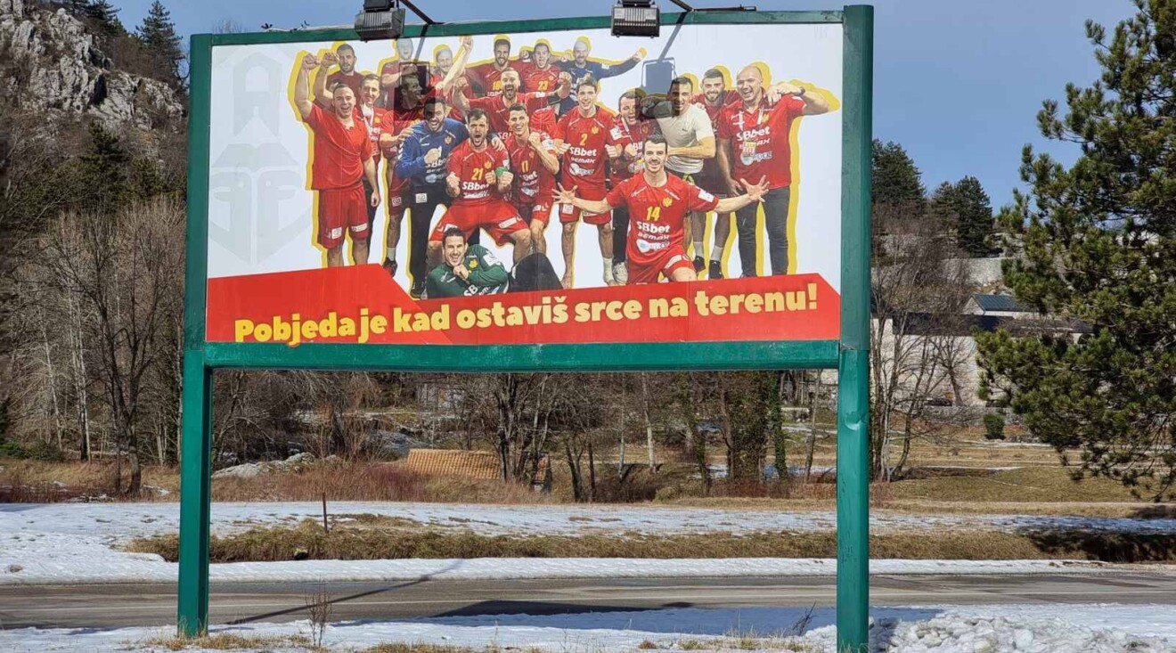 FOTO: Bilbordi posvećeni lavovima krase Cetinje