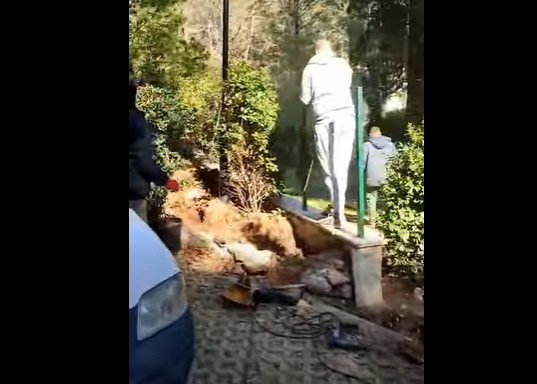 Morsko dobro zahtjeva da se hitno zaustave radovi na postavljanju ograde na Kraljičinoj plaži