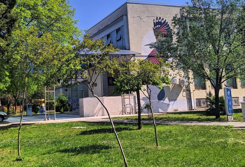 Odlaže se književno veče Olje Ražnatović