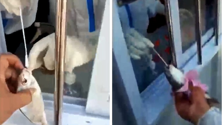 (VIDEO) U Kini žive ribe testirali na koronu