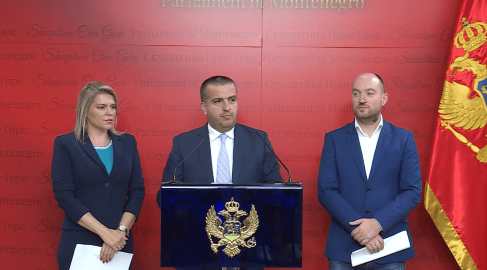 Vuksanović Stanković: Utvrditi zašto su energetske kompanije doživjele finansijski sunovrat, podnijećemo krivične prijave