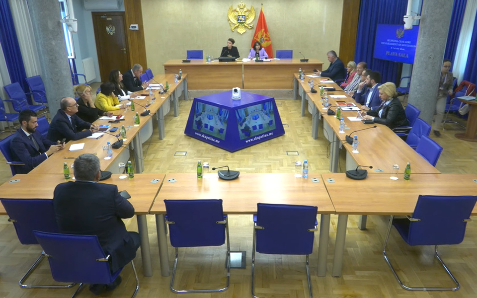 Armenko, Vukčević, Ružičić i Novaković predlozi Ustavnog odbora
