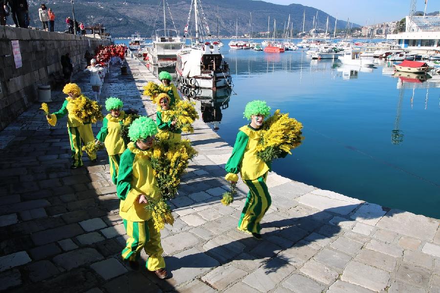 Očekuju se rekordne posjete Prazniku mimoze