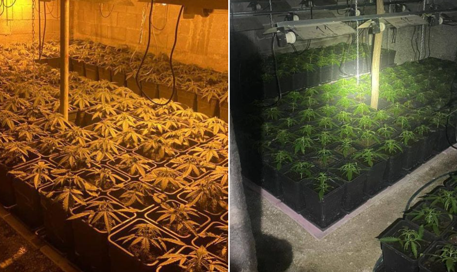Laboratorija droge otkrivena tik uz ogradu suda i zatvora u Kosovskoj Mitrovici