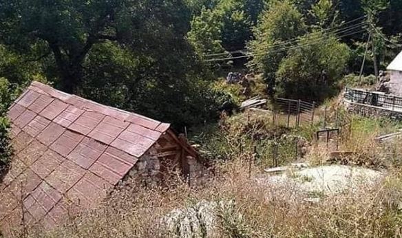 Besmrtnost iz pepela