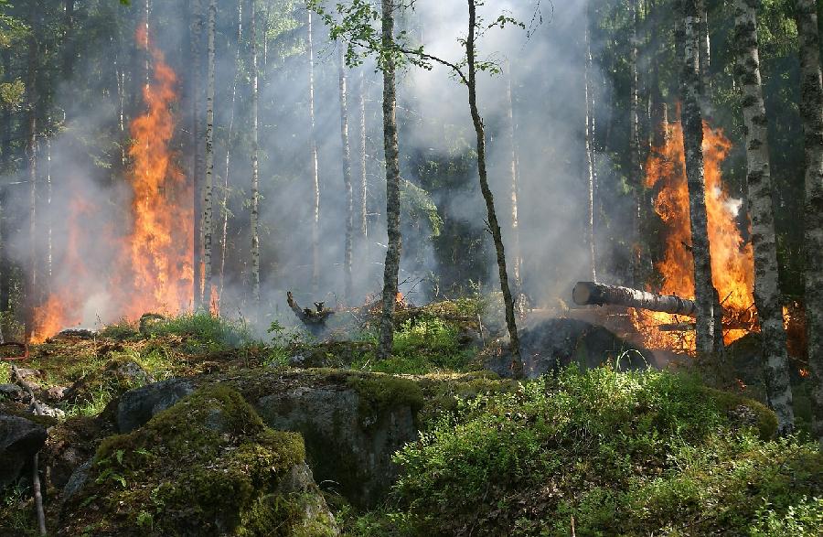 EU će udvostručiti vatrogasnu aero-flotu zbog rizika od šumskih požara